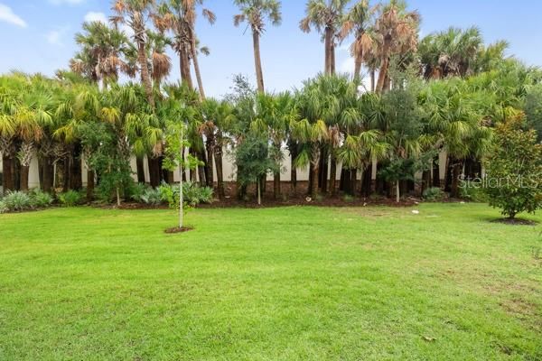 Activo con contrato: $375,000 (3 camas, 2 baños, 1602 Pies cuadrados)