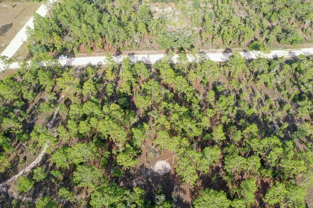 For Sale: $44,000 (1.00 acres)