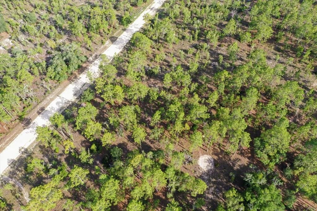 For Sale: $44,000 (1.00 acres)