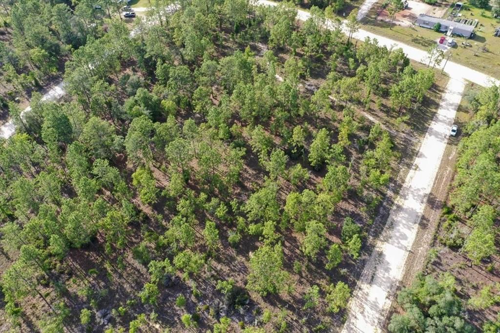 For Sale: $44,000 (1.00 acres)