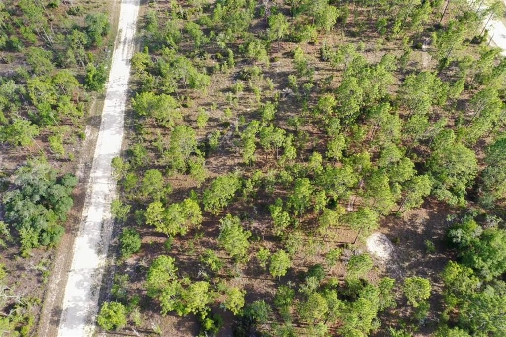 For Sale: $44,000 (1.00 acres)