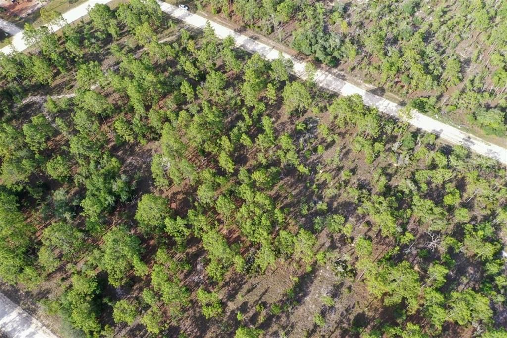 待售: $44,000 (1.00 acres)
