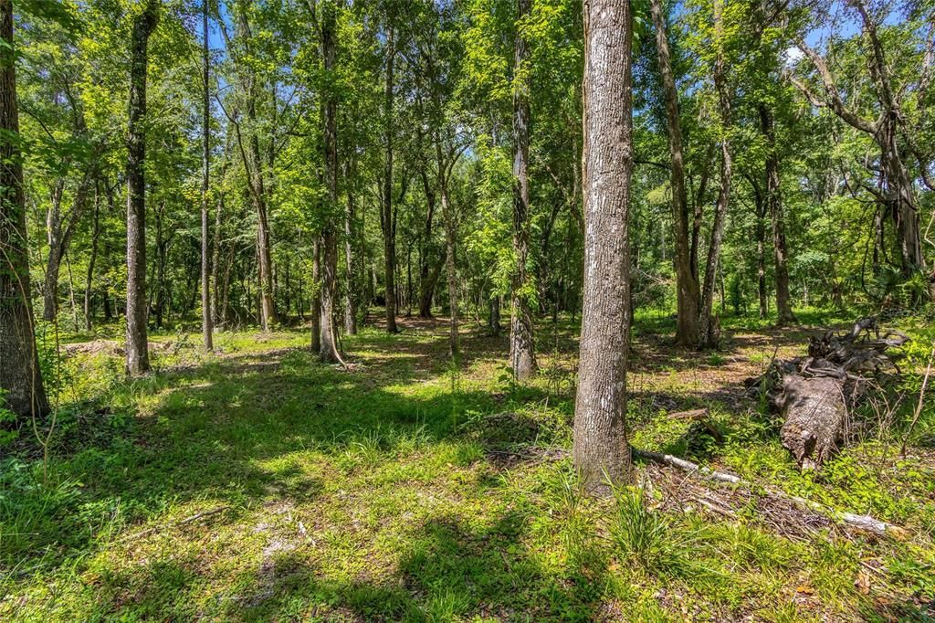 For Sale: $499,000 (5.66 acres)