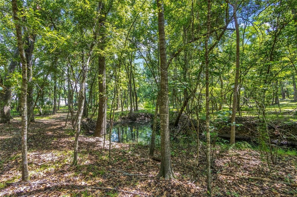 For Sale: $499,000 (5.66 acres)