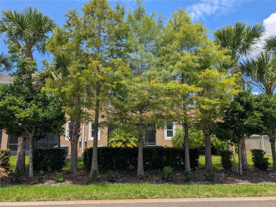 For Rent: $2,800 (3 beds, 2 baths, 1961 Square Feet)