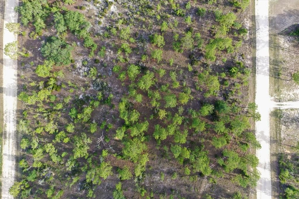 For Sale: $44,000 (1.00 acres)