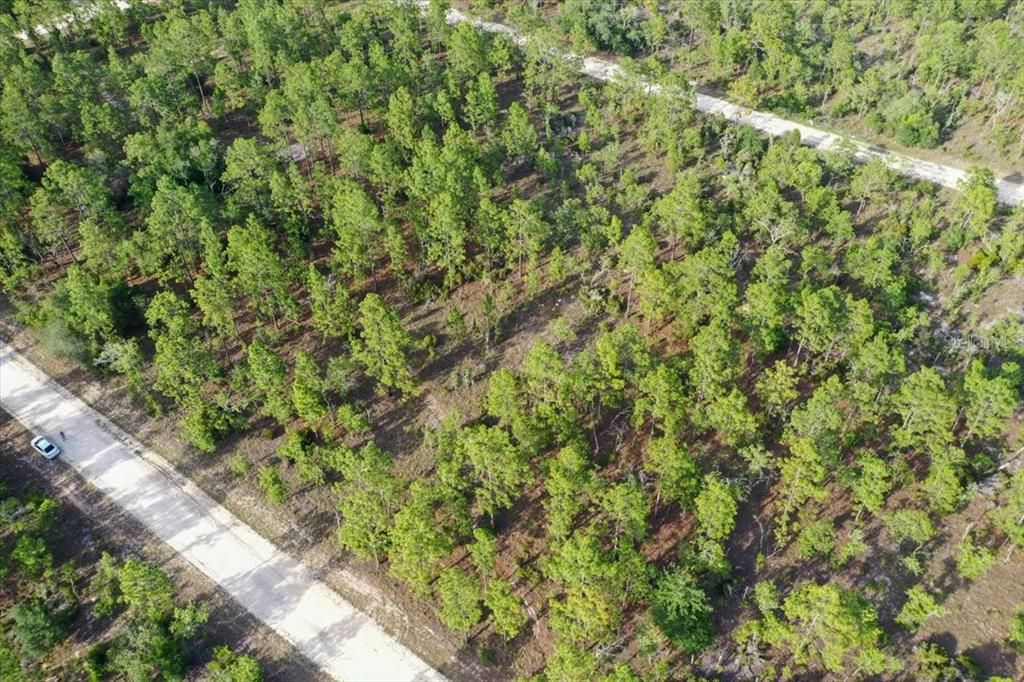 For Sale: $44,000 (1.00 acres)