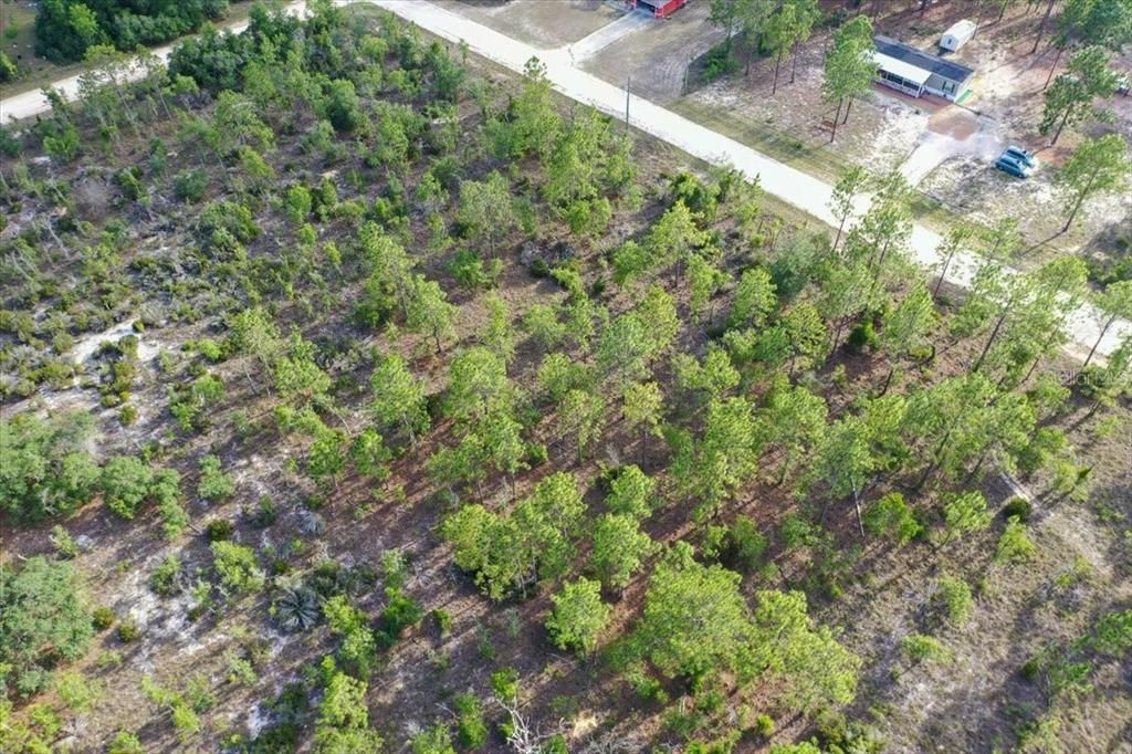For Sale: $44,000 (1.00 acres)