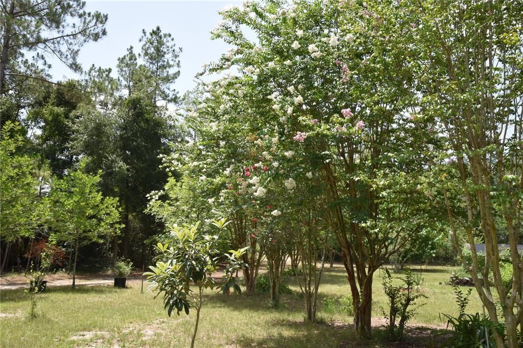 En Venta: $549,000 (3 camas, 2 baños, 1860 Pies cuadrados)