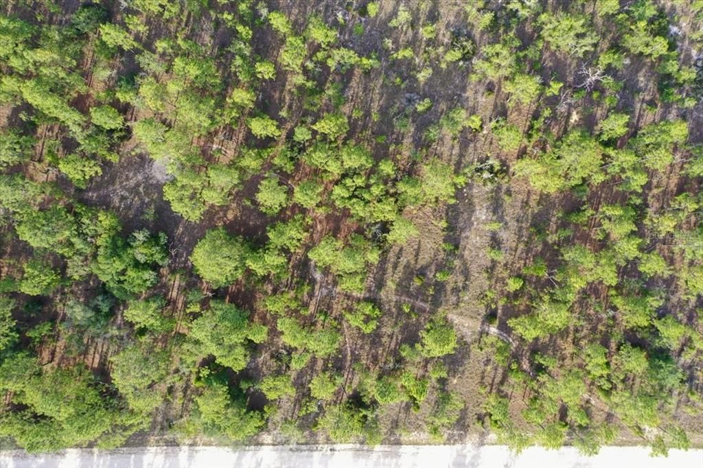 待售: $44,000 (1.00 acres)