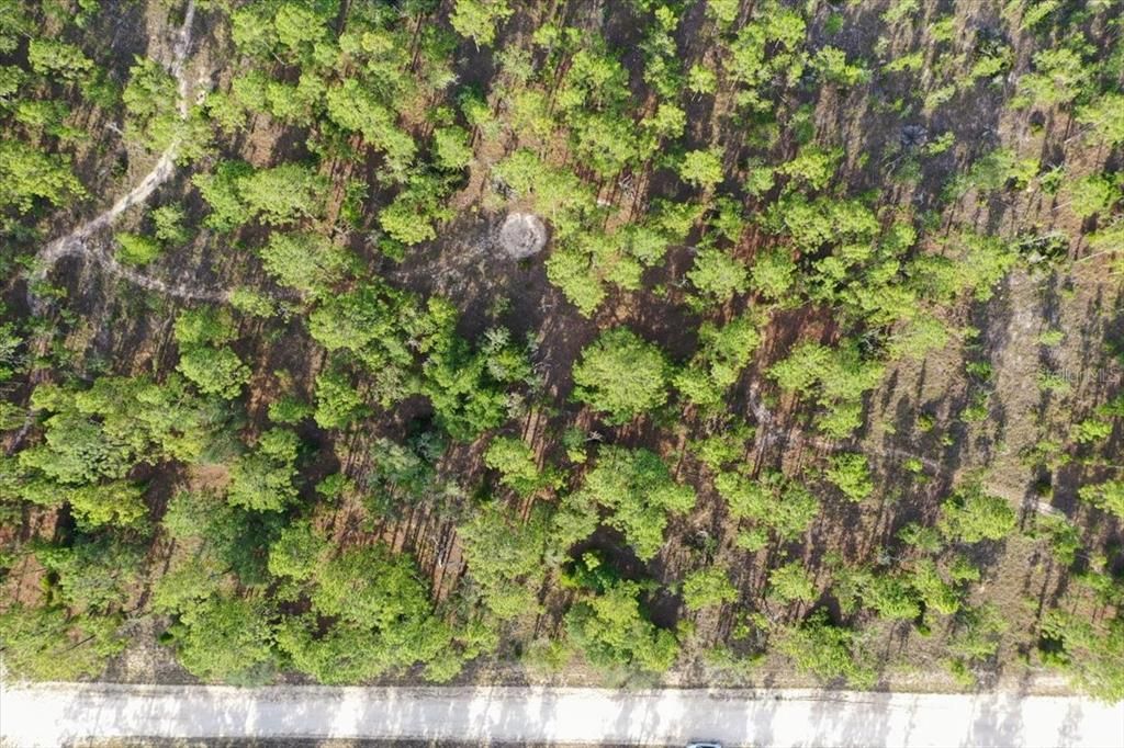 待售: $44,000 (1.00 acres)