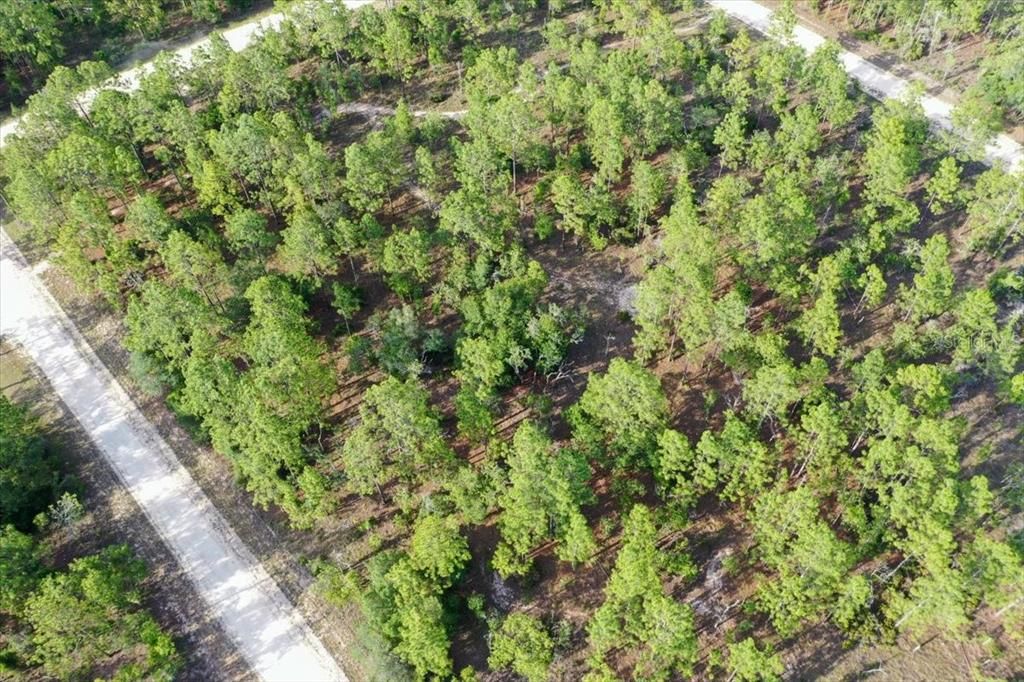 待售: $44,000 (1.00 acres)