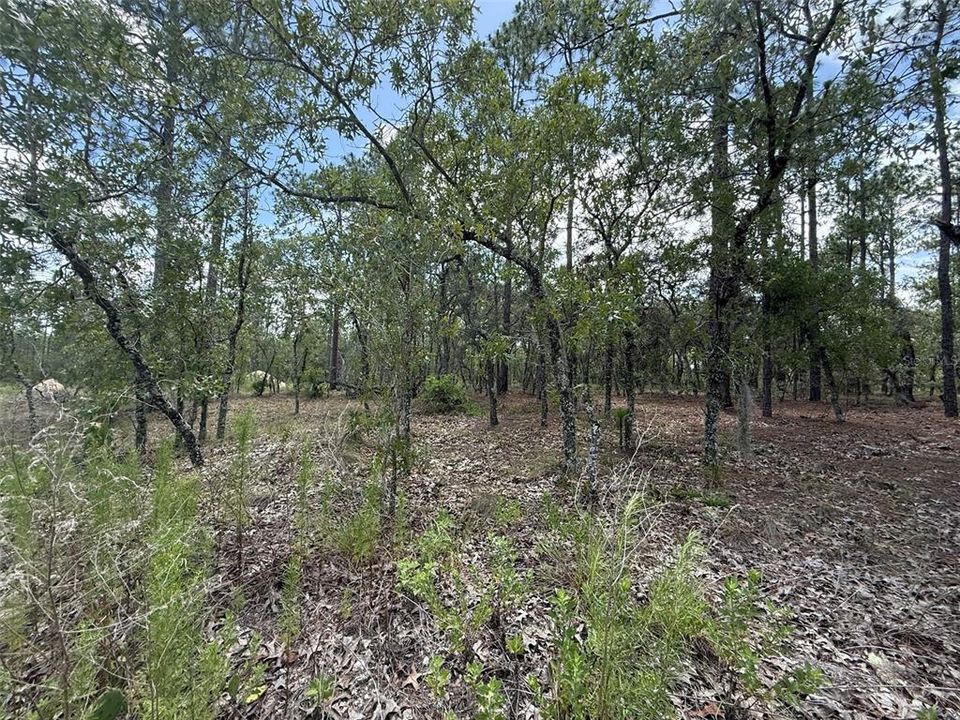 En Venta: $29,900 (1.00 acres)