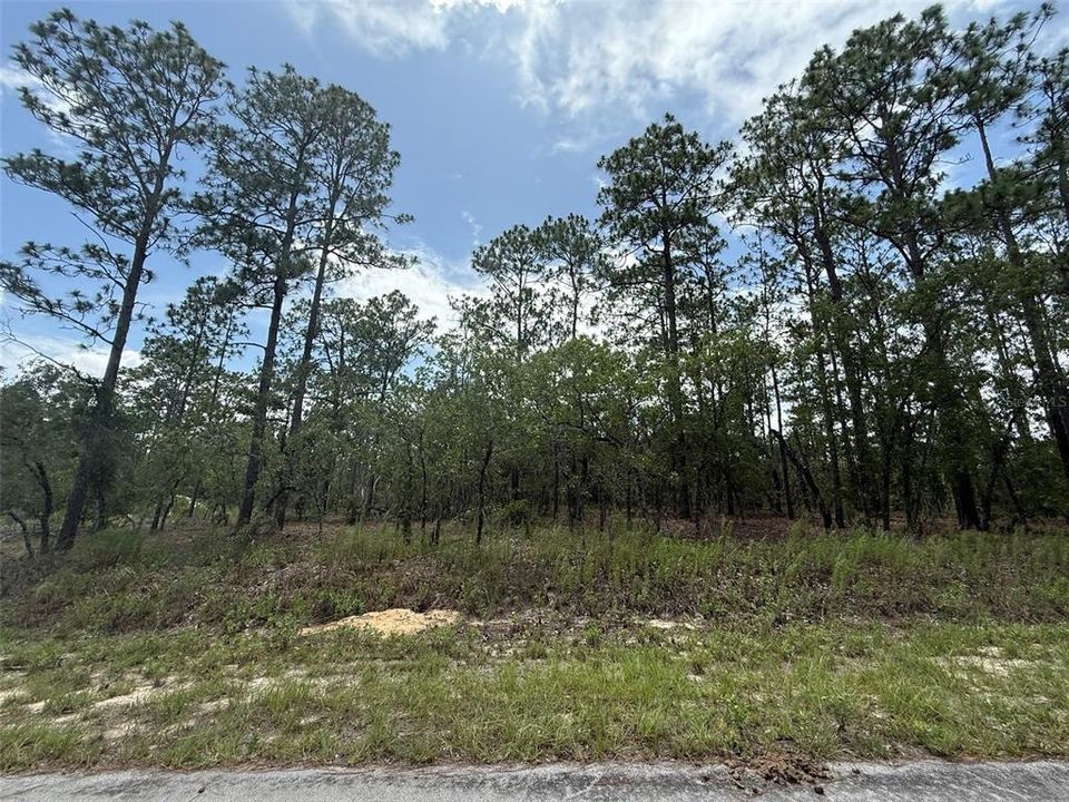 En Venta: $29,900 (1.00 acres)