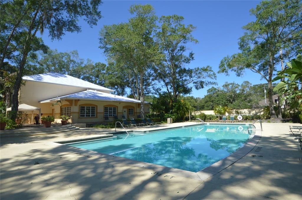 For Rent: $1,590 (1 beds, 1 baths, 868 Square Feet)