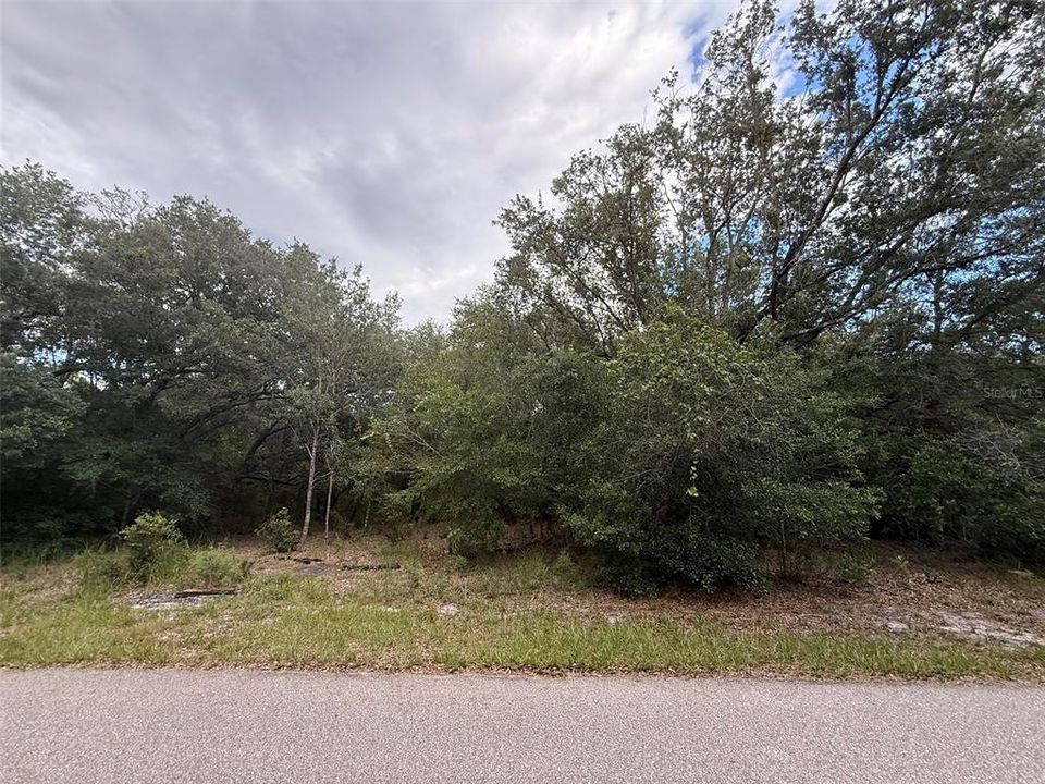 Недавно продано: $39,900 (0.72 acres)