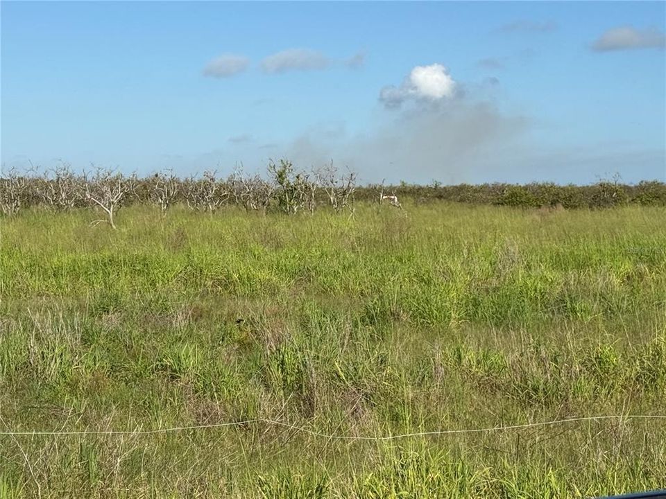 En Venta: $90,000 (10.00 acres)
