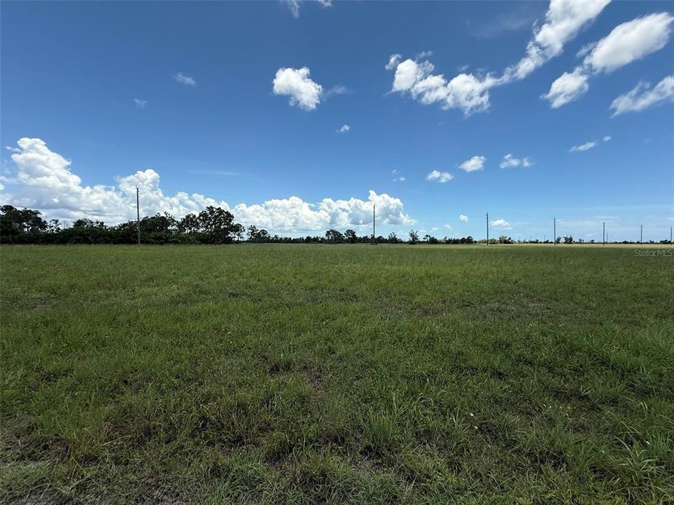 For Sale: $14,900 (0.33 acres)