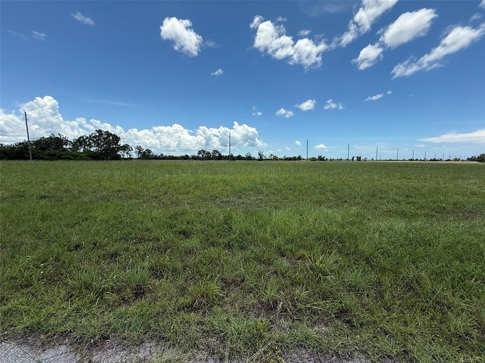 For Sale: $14,900 (0.33 acres)