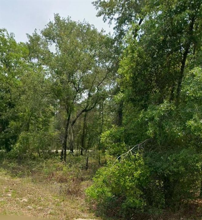 For Sale: $12,000 (0.25 acres)