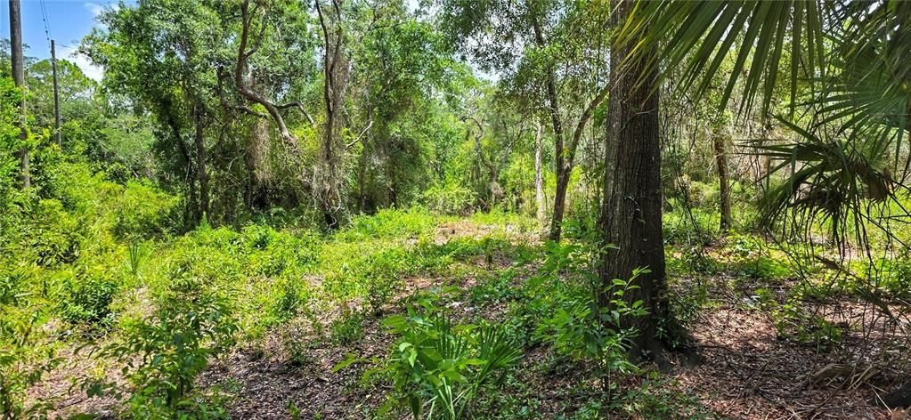 На продажу: $375,000 (1.41 acres)