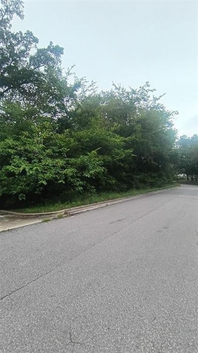 待售: $18,500 (0.31 acres)