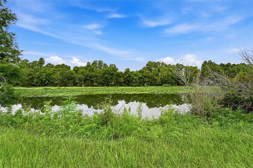 For Sale: $950,000 (1.54 acres)
