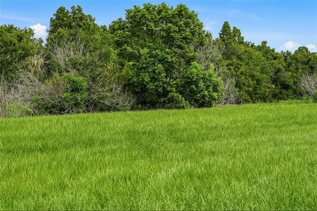 For Sale: $950,000 (1.54 acres)