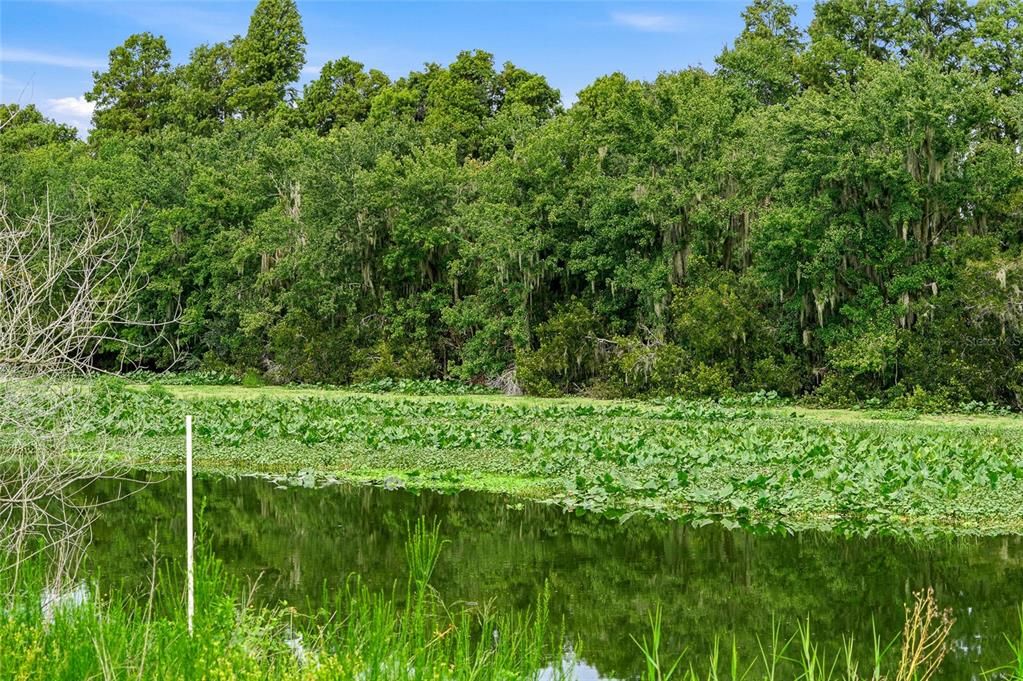 For Sale: $950,000 (1.54 acres)