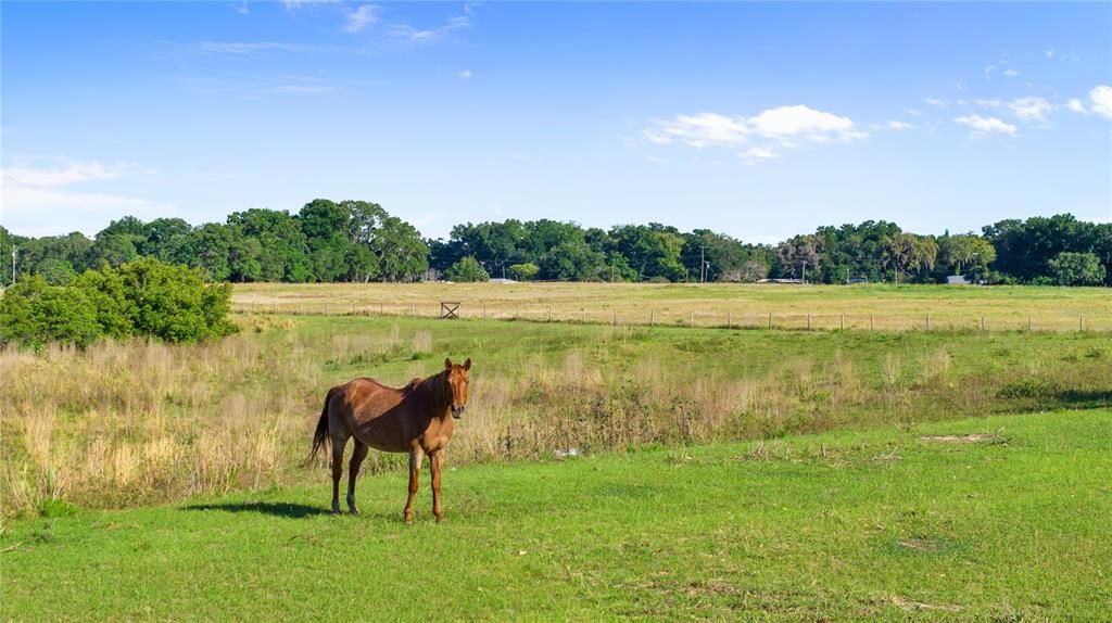 For Sale: $950,000 (1.54 acres)