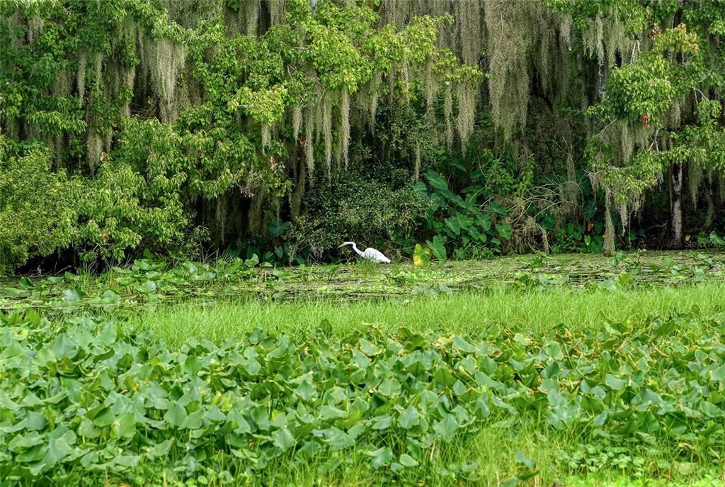 For Sale: $950,000 (1.54 acres)