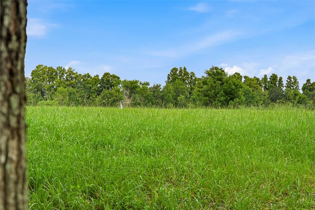 For Sale: $950,000 (1.54 acres)