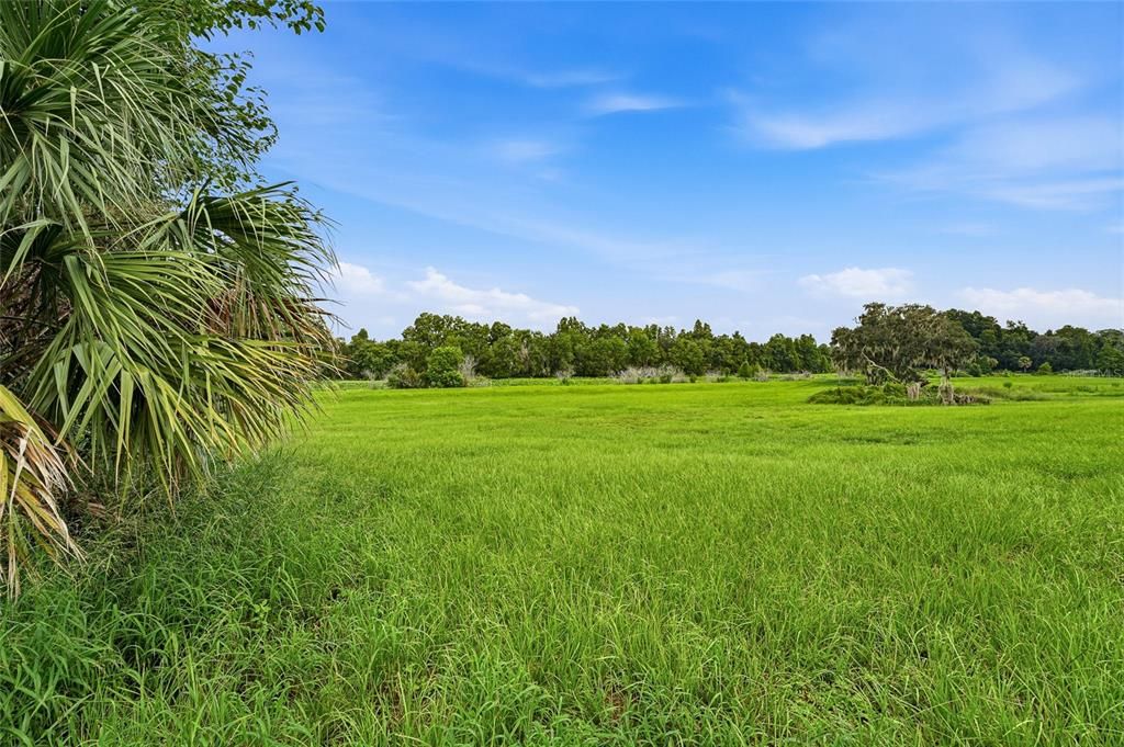 For Sale: $950,000 (1.54 acres)