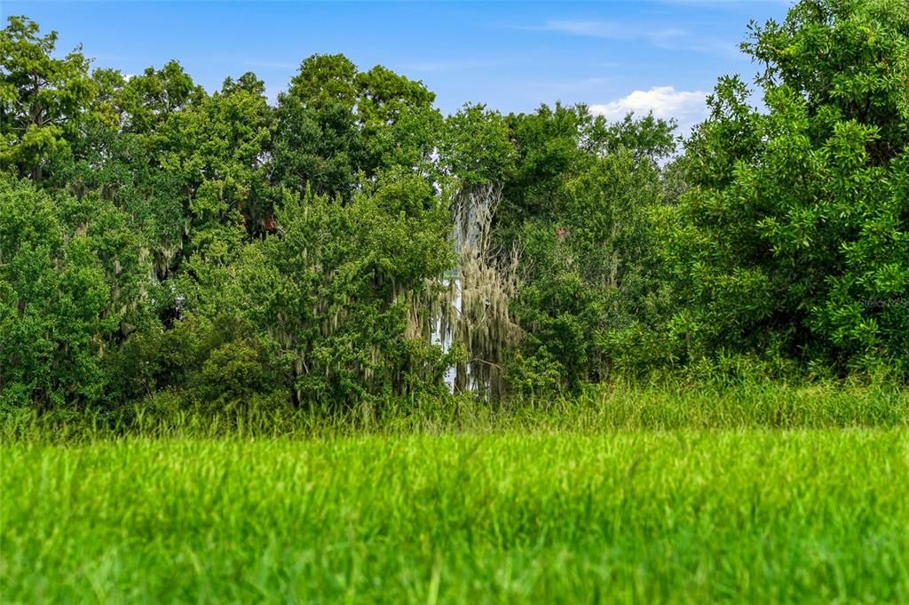 For Sale: $950,000 (1.54 acres)