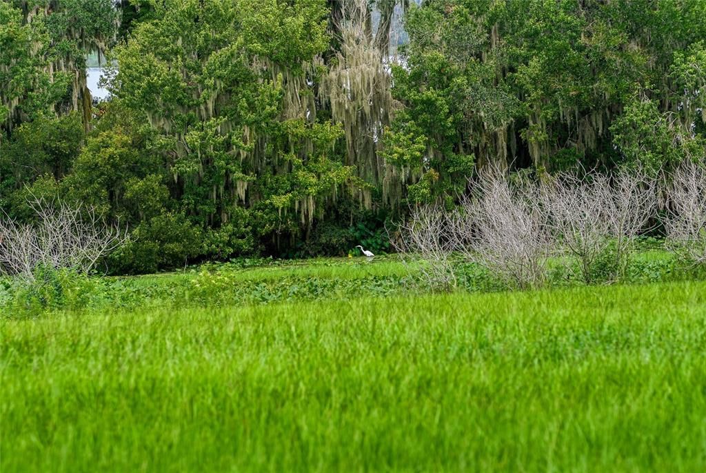 For Sale: $950,000 (1.54 acres)