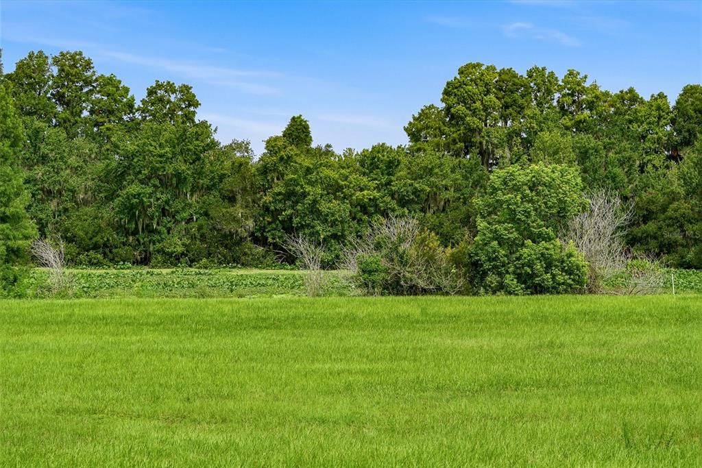 For Sale: $950,000 (1.54 acres)
