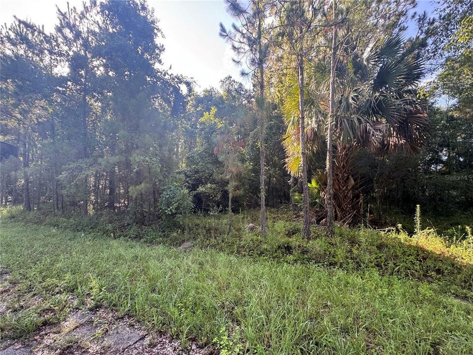 For Sale: $15,000 (0.24 acres)