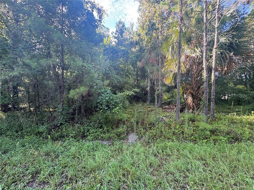 For Sale: $15,000 (0.24 acres)