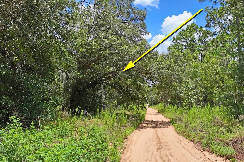 For Sale: $69,900 (2.25 acres)