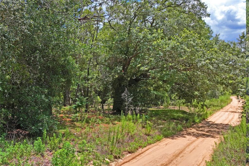 For Sale: $69,900 (2.25 acres)