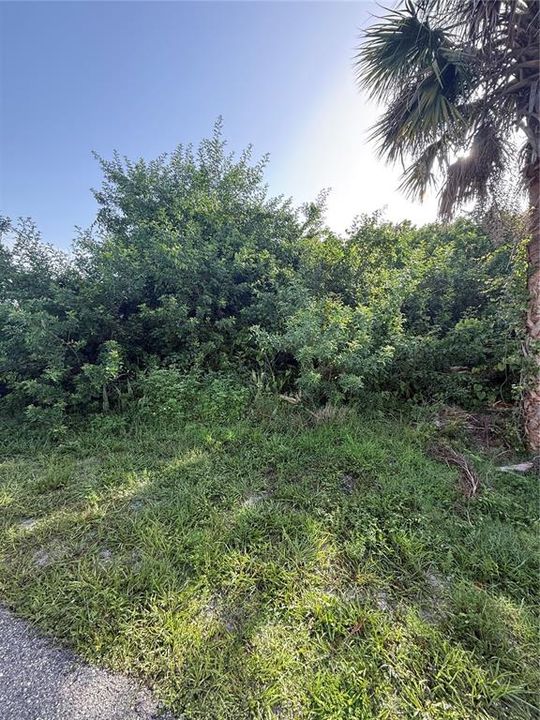 For Sale: $24,900 (0.23 acres)