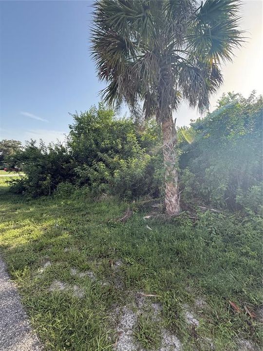 For Sale: $24,900 (0.23 acres)