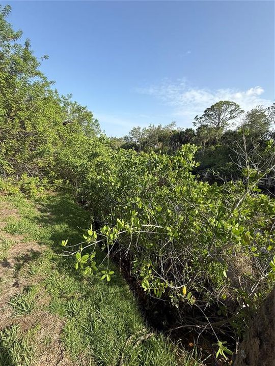 En Venta: $49,900 (0.23 acres)