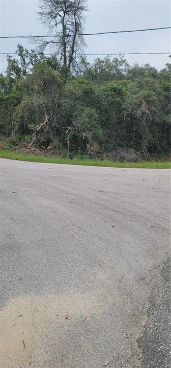 En Venta: $35,000 (0.29 acres)