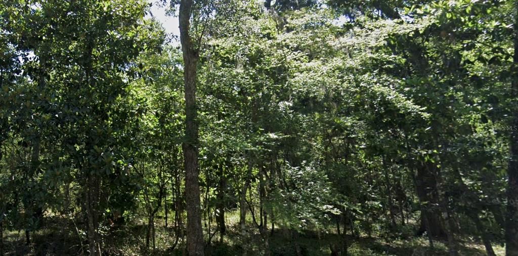 For Sale: $187,500 (2.50 acres)