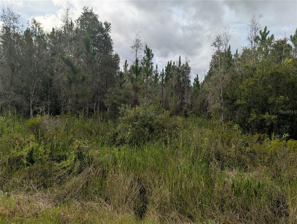 На продажу: $30,000 (1.24 acres)