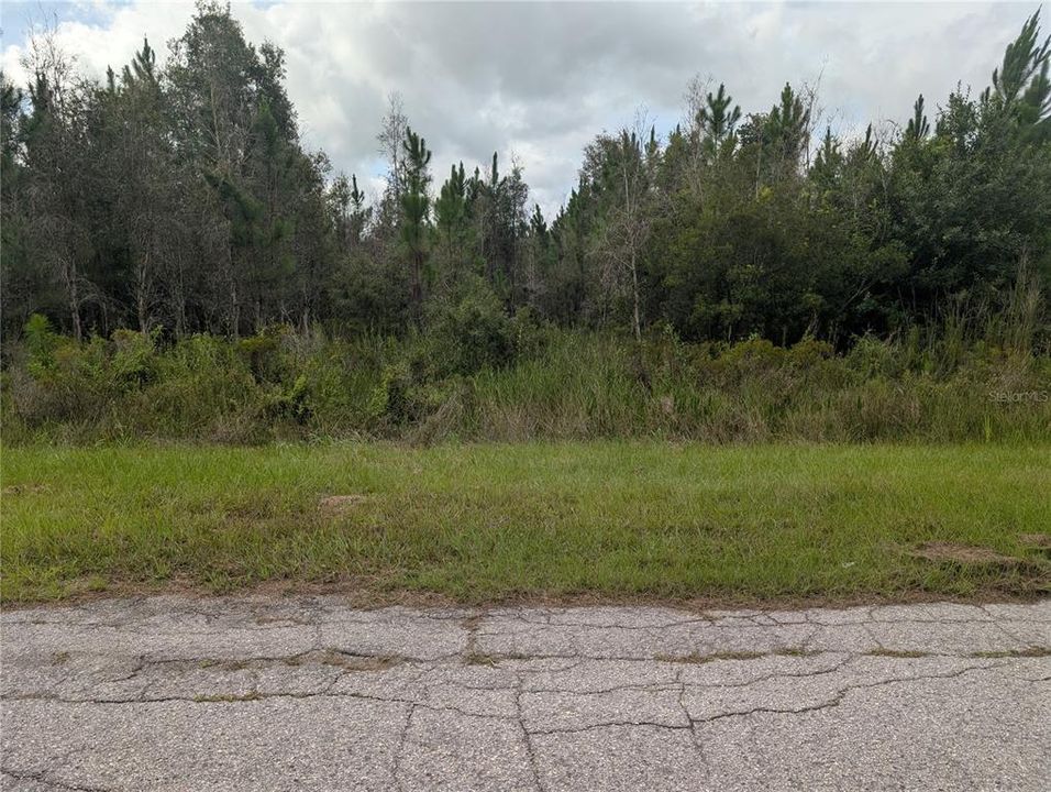 На продажу: $30,000 (1.24 acres)
