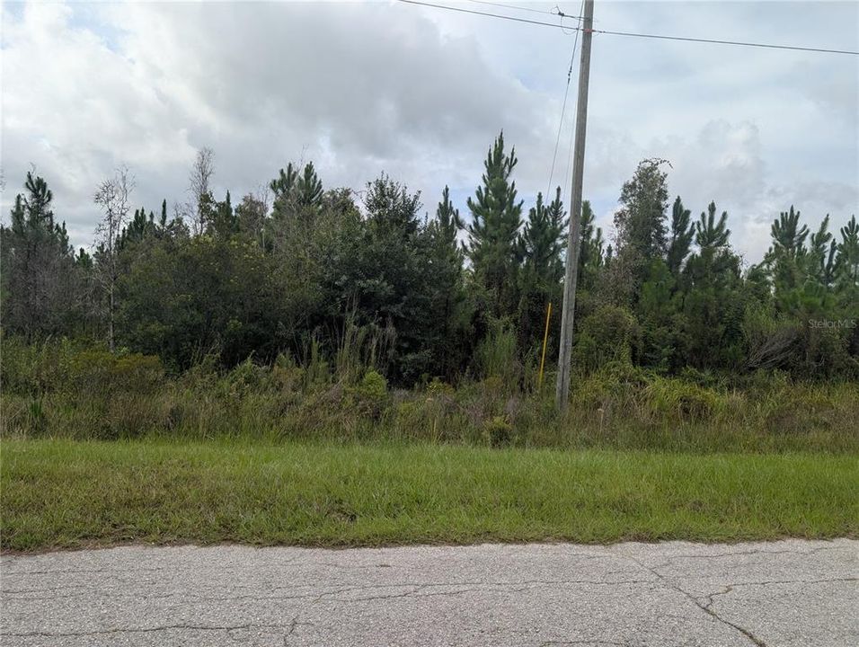 На продажу: $30,000 (1.24 acres)