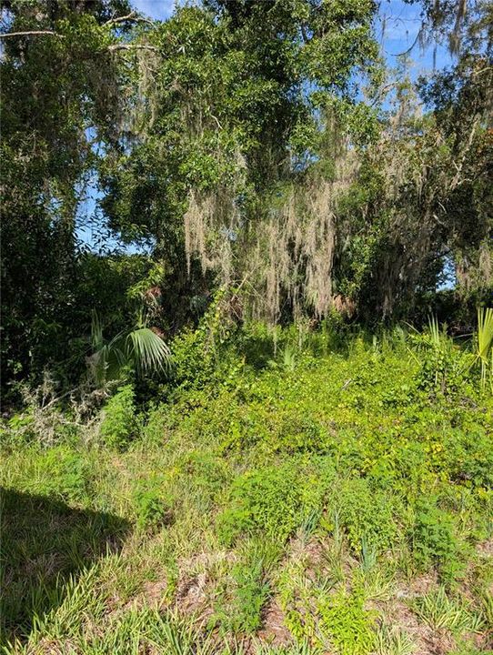 En Venta: $17,000 (0.27 acres)