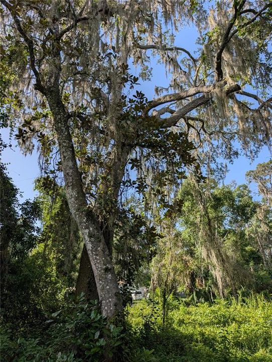 En Venta: $17,000 (0.27 acres)